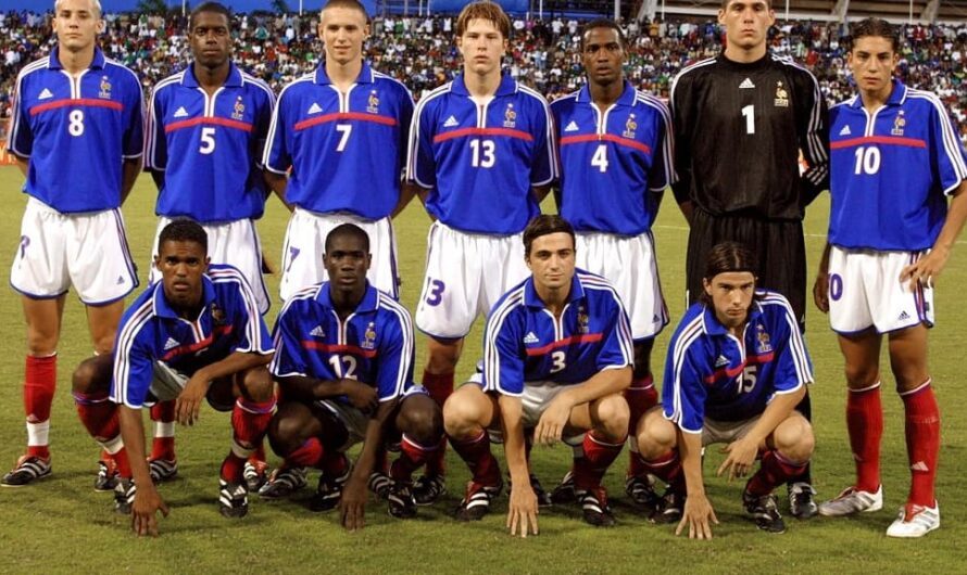 Champions du monde U17 2001 : que sont-ils devenus ?