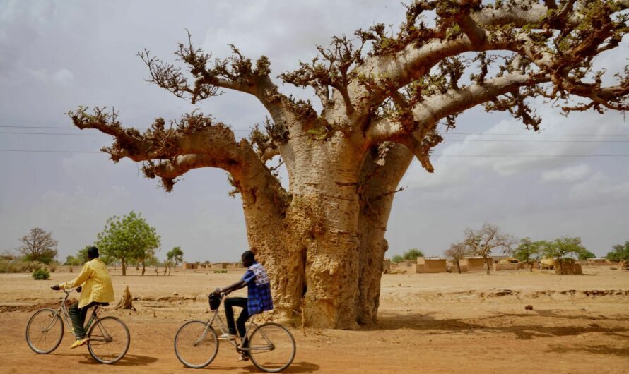 En route pour Abidjan ! Une génération…